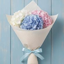 Букет цветов из:  Гортензия в Сергиевское